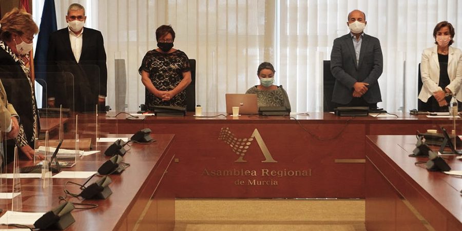 Carmen Gil en la Asamblea Regional. Carmen Gil en la Asamblea Regional.