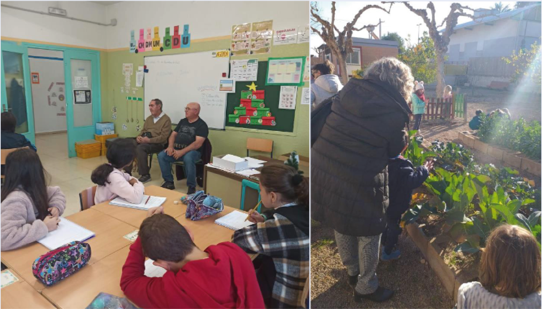 Docentes Con P rkinson Realizan Una Campa a De Sensibilizaci n Y understanding-parkinson-s-disease-including-direct-and-indirect