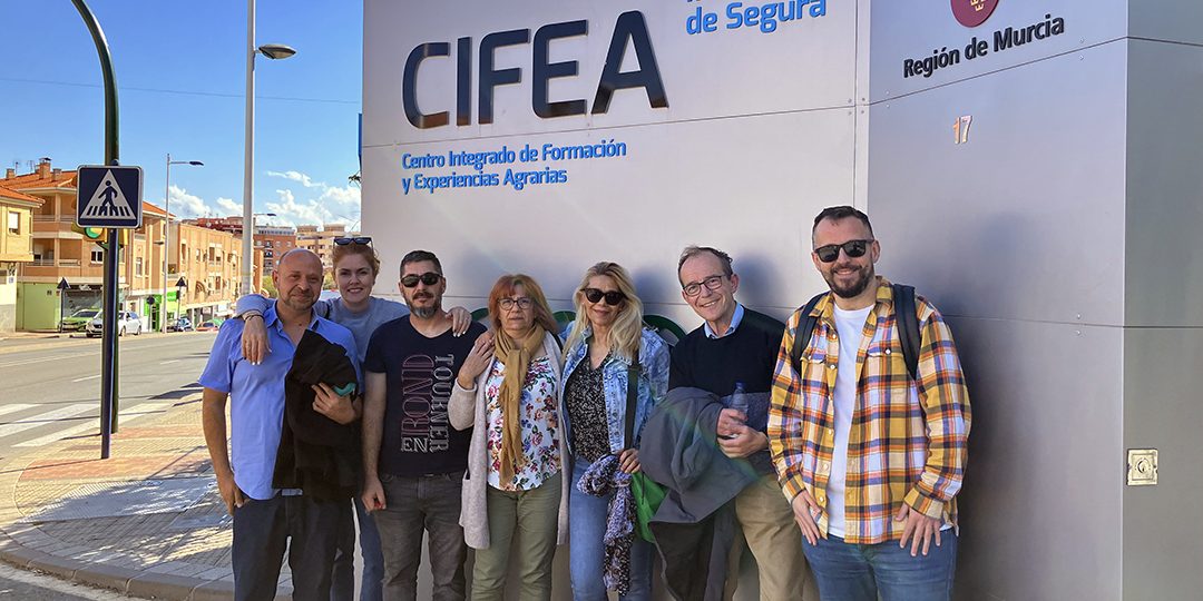 POISES 24 Formación práctica personas con discapacidad