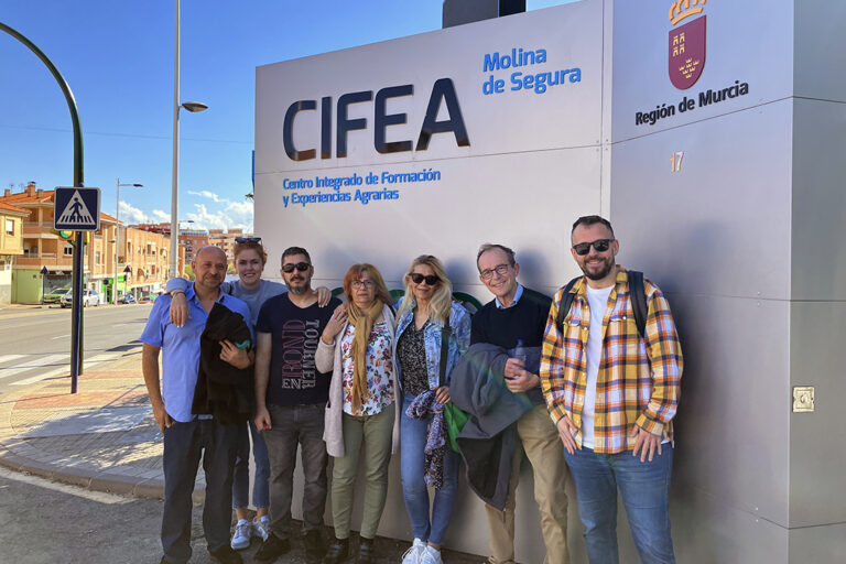 POISES 24 Formación práctica personas con discapacidad