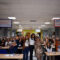 Inauguración XIII Jornadas de discapacidad física y orgánica